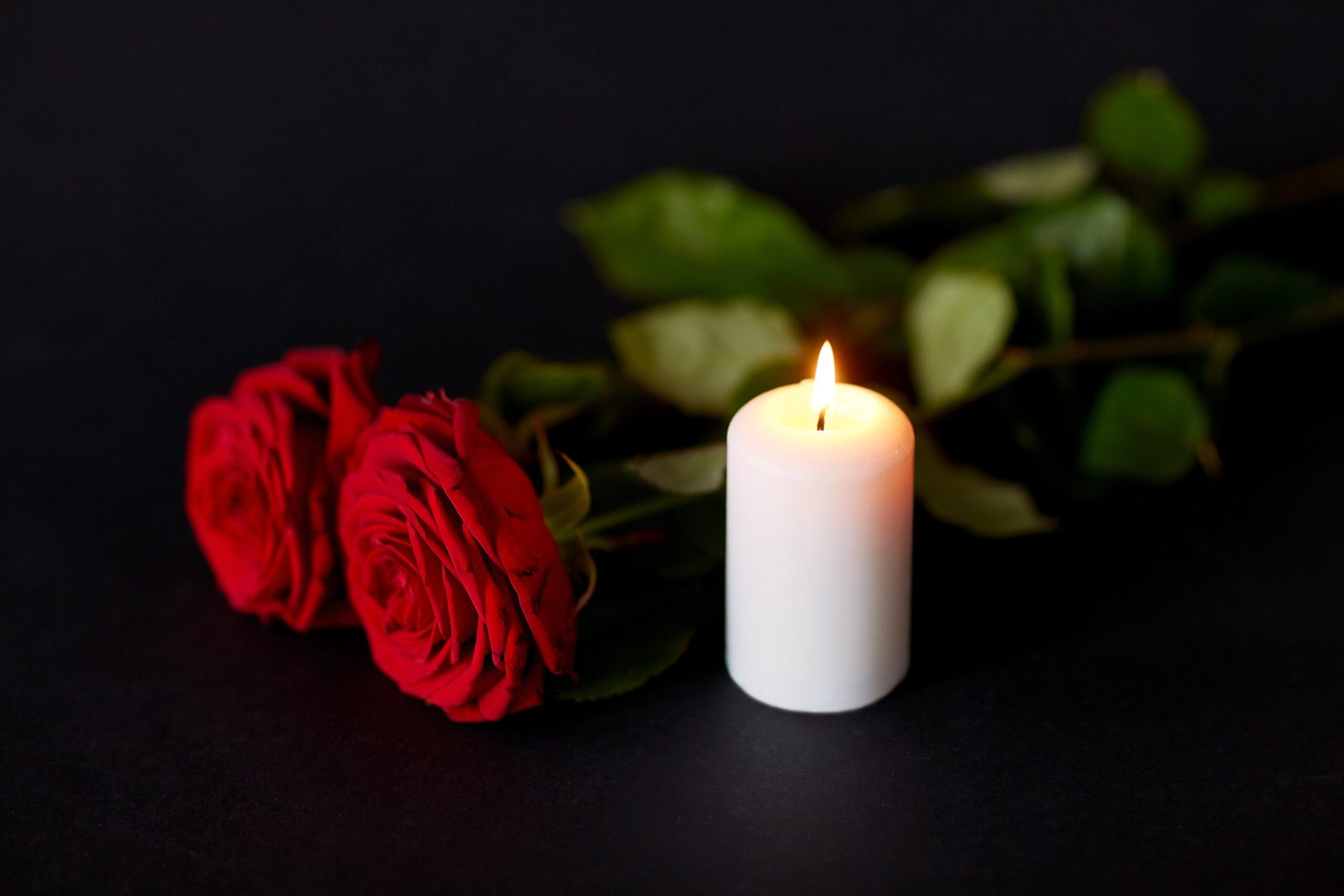 funeral and mourning concept - red roses and burning candle over black background